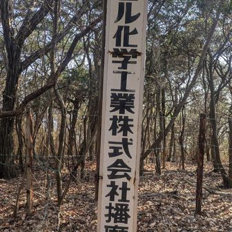 この奥はダイセル化学工業の社有林です