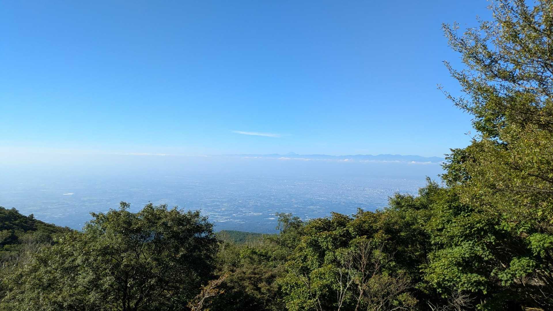 荒山・鍋割山周回 | 満開のツツジのトンネルを抜け、大パノラマの稜線歩きへの写真