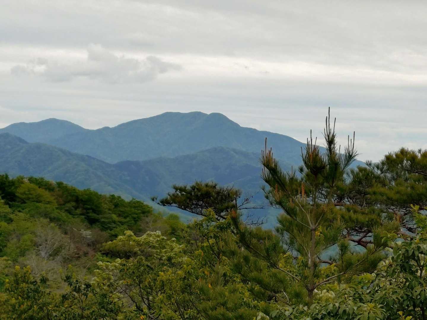富士写ヶ岳