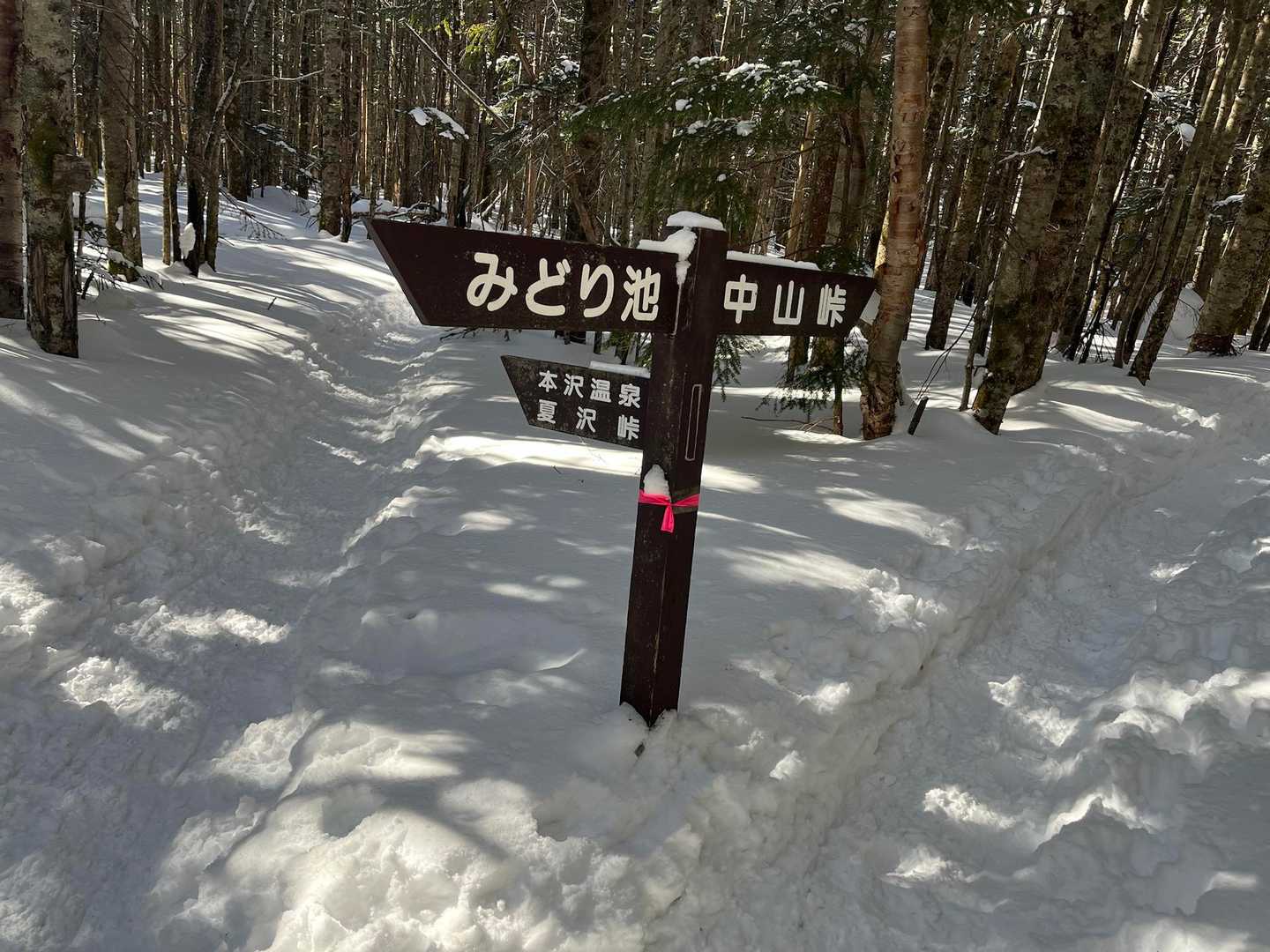 分岐点を中山峠に向かう
Mさん前回、ここでラッセルしたらしいが、今日はトレースバッチリで、ワカンの出番なし。