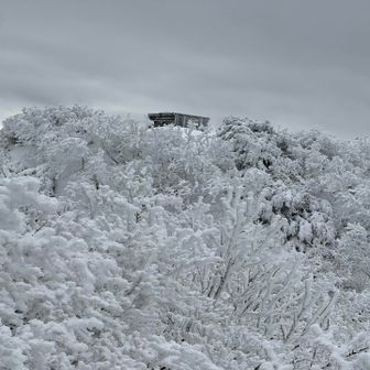 見えて来ました🙌