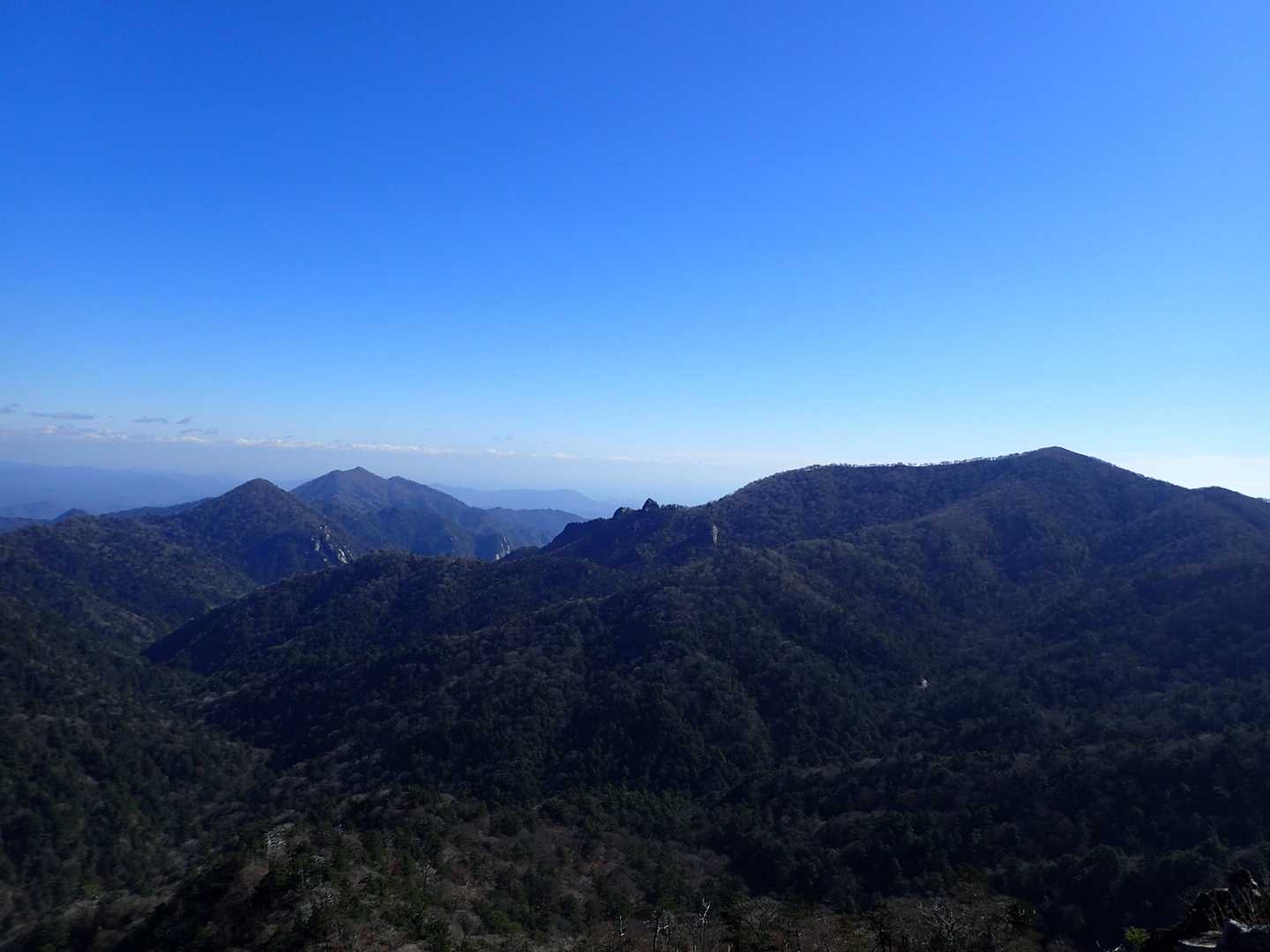 右が大崩山，左手前が木山内岳，奥が桑原山。
中央に坊主たちがニョキニョキ。
