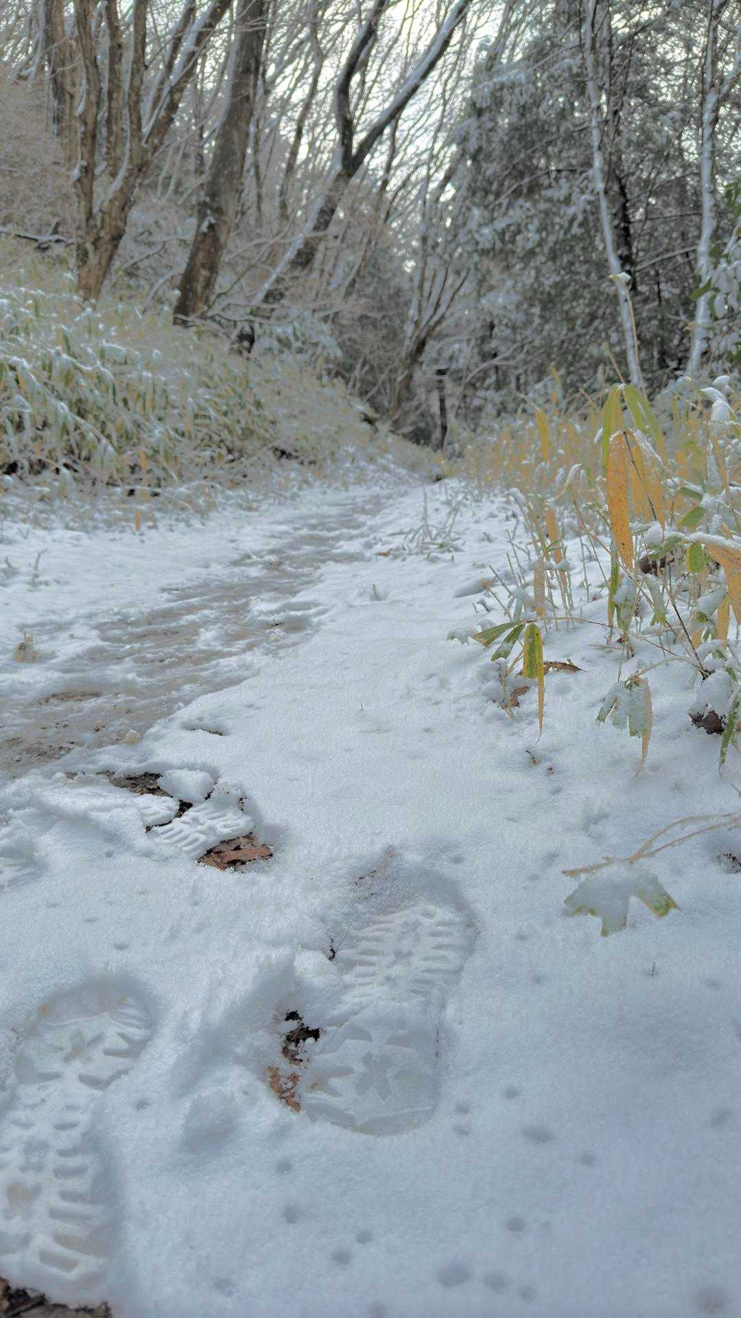 雪道❄️☃️
