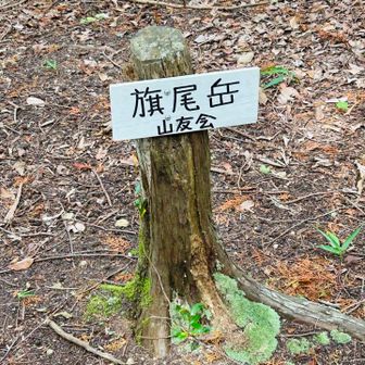 山名板。