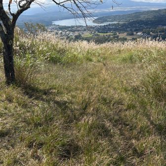 山頂手前のここを下る。（見落として後で引き返すハメに）