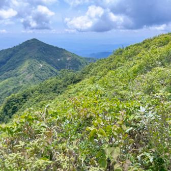 鉢伏山