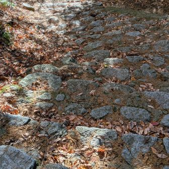 千早城から下る階段の段差が厳しくて　一段ごとにカカトと膝にダメージを蓄積させる　幅と高さの設計とても大事
