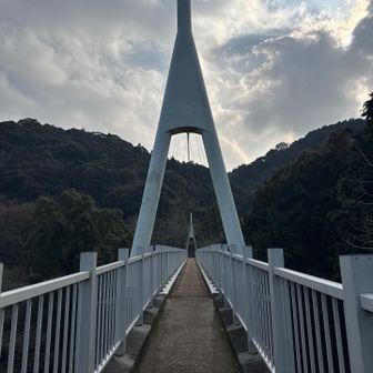 ゆらりんこ橋を出発