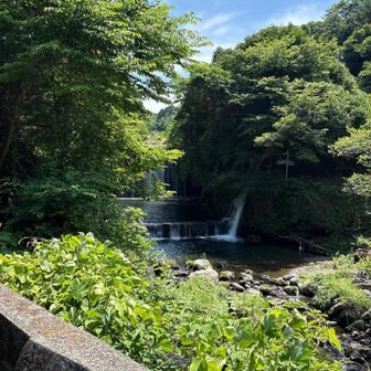 でも涼しげなこんな所もありました