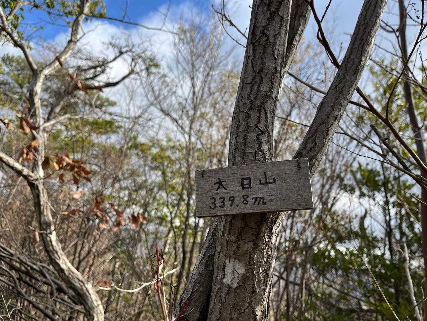 一本松山-鉄塔-大日山 周回コースの写真