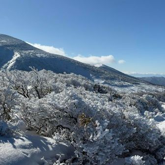 改めて箕輪山。いつかあそこまで行きたい。