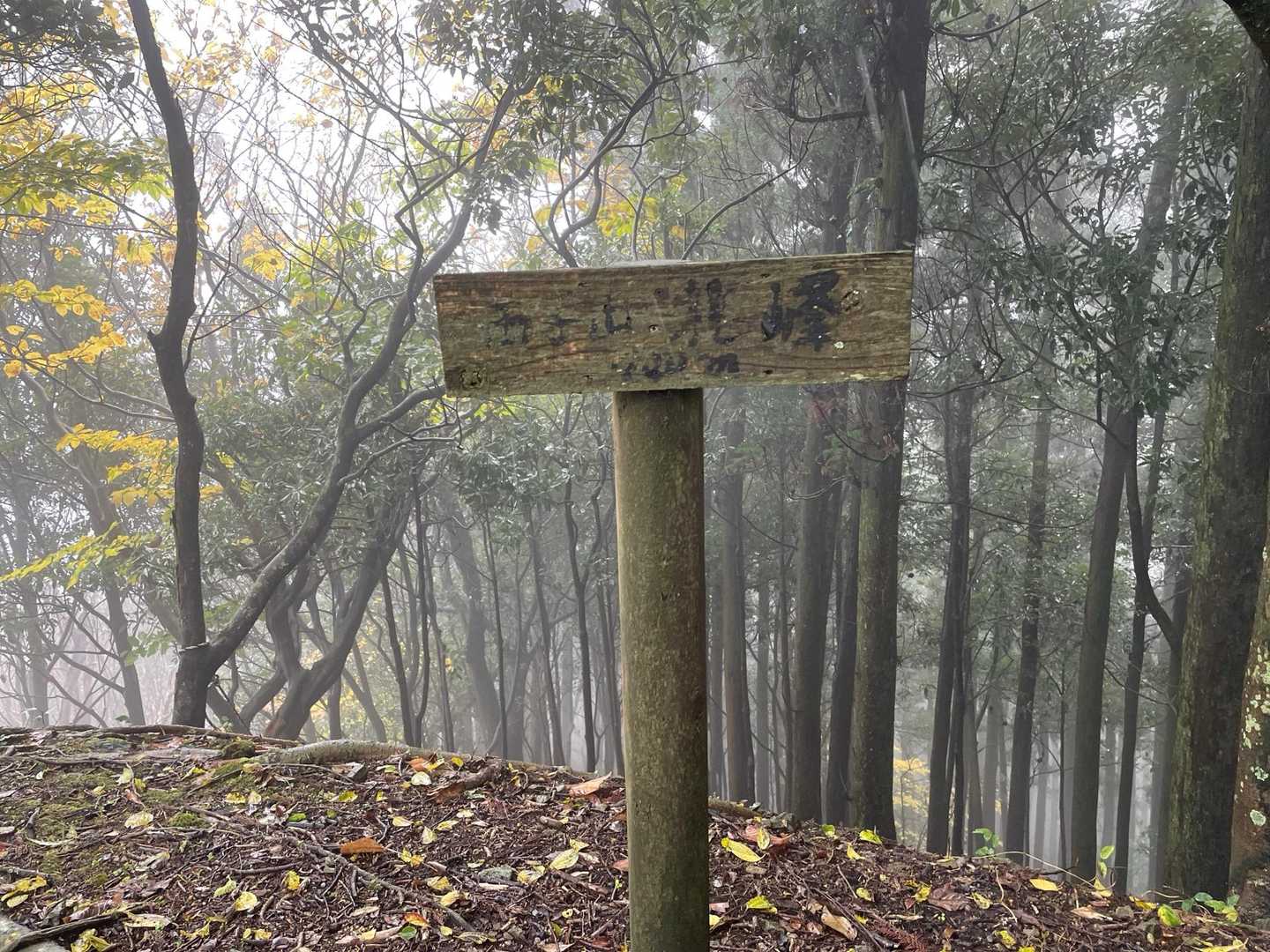両子山北峰⛰️
標高700m