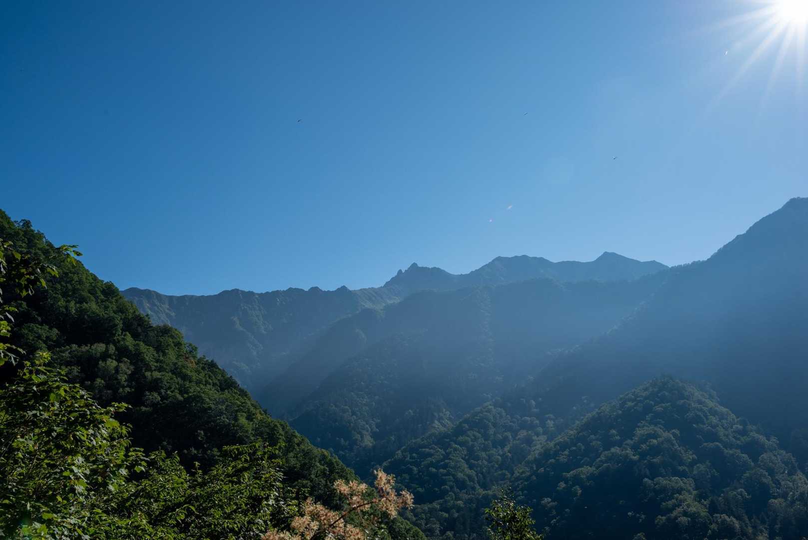 1年振りのこの景色✨