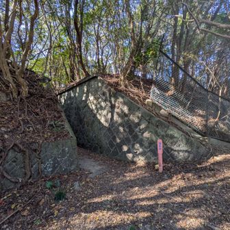 あの間から入って行きます。