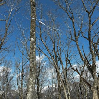 山頂表示は無いですが、このテープが山頂三角点の目印だそうです✨
三角点は雪の下。
先程お会いしたおじさまに教えていただいたました☺️