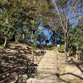 と言うことで茶臼山登山口から