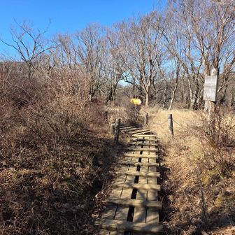 木ノ又大日山頂（1,396m）