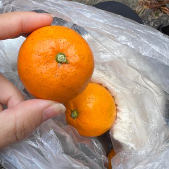 みかんも食べる