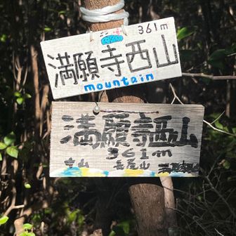 本日の第一ピーク　満願寺西山に到着⛰️