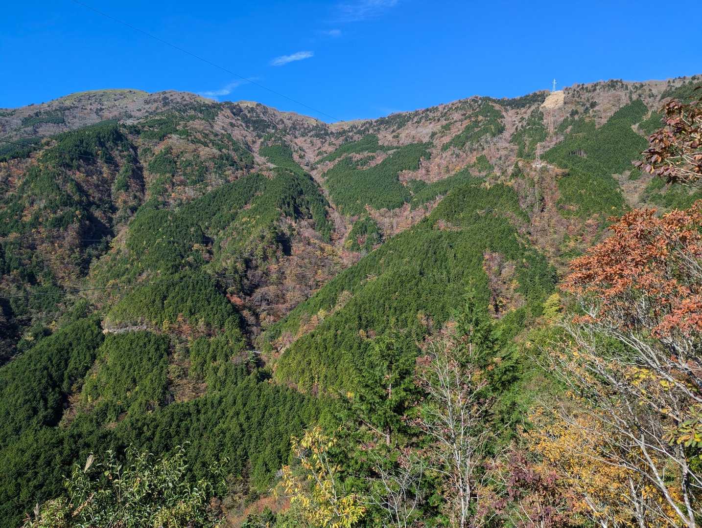 小麦畝登山口-平家平 往復コースの写真