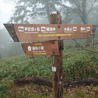 稜線に乗ったところ。