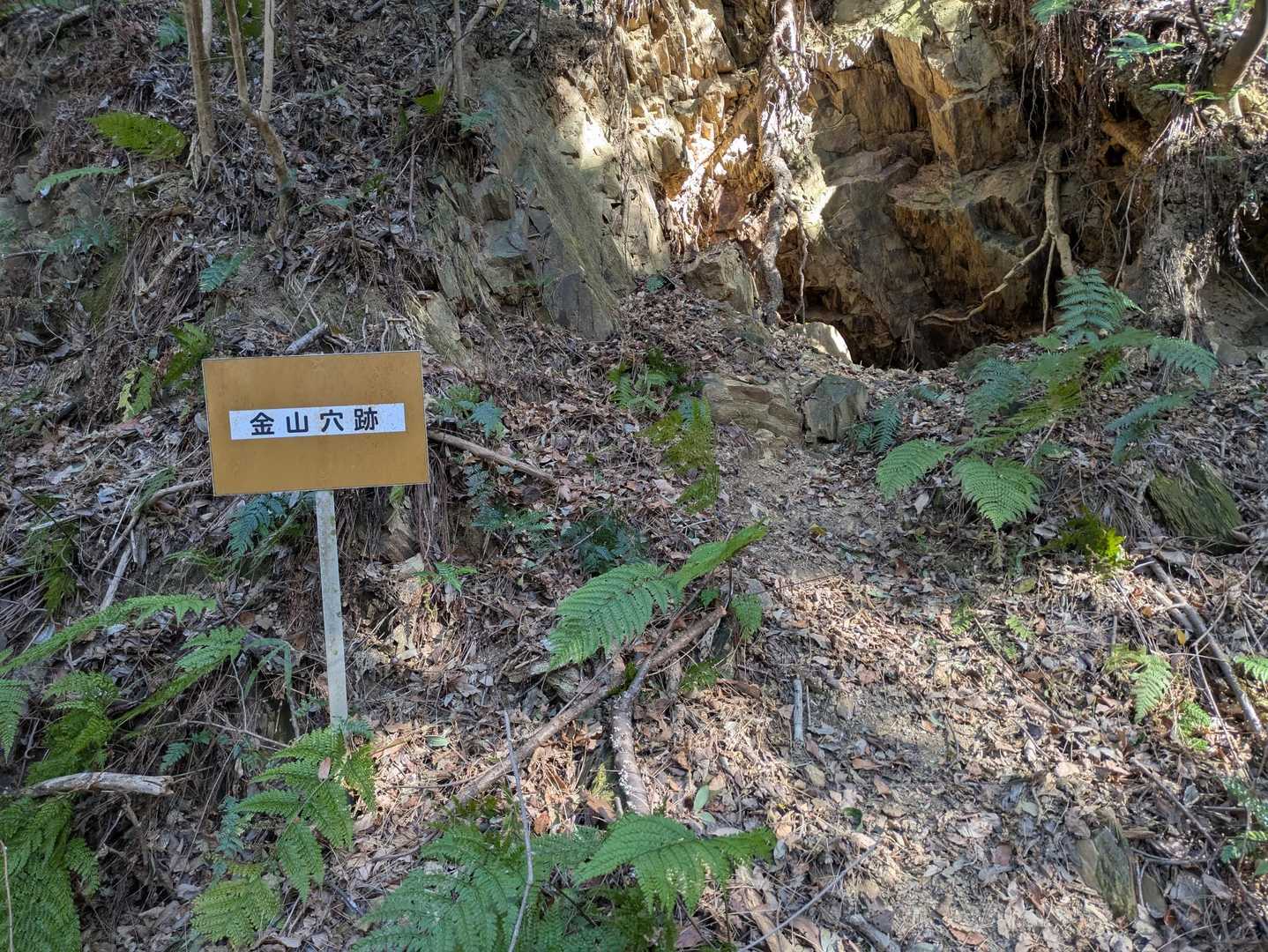 金山穴跡①