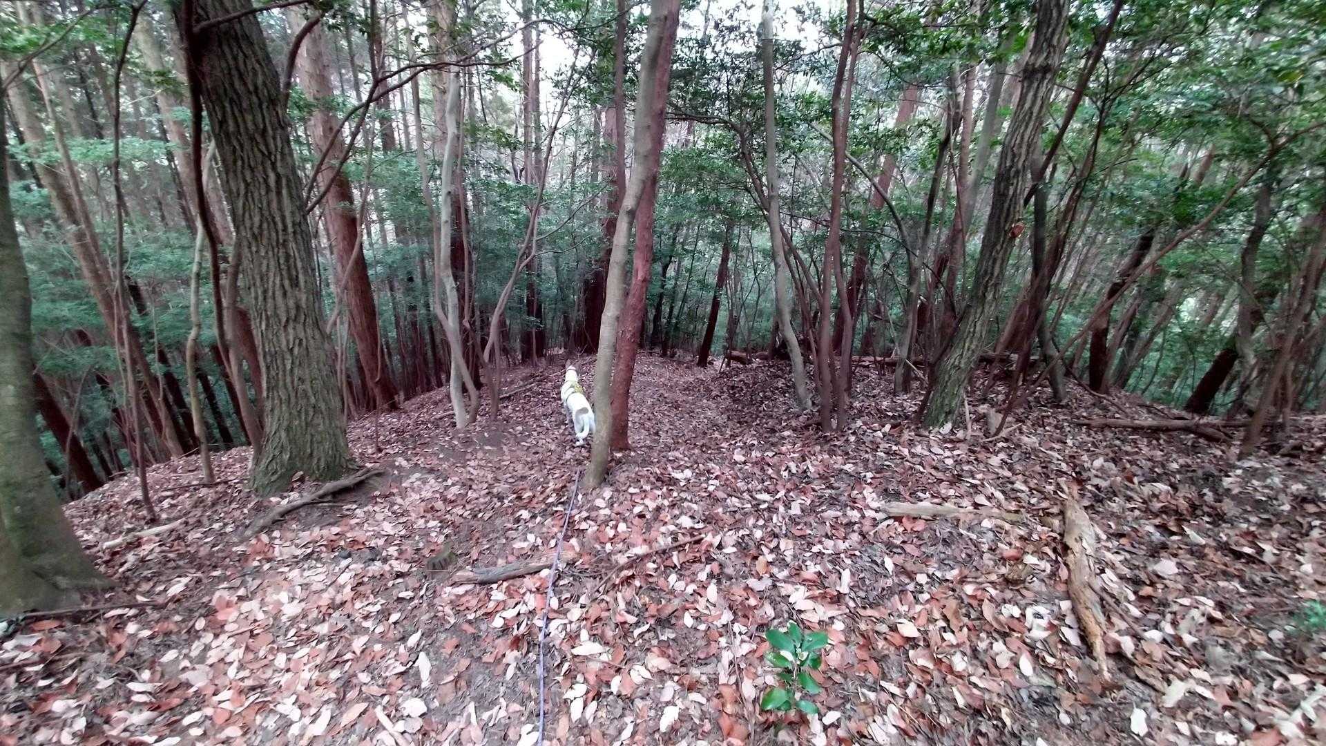少し暗い下り坂