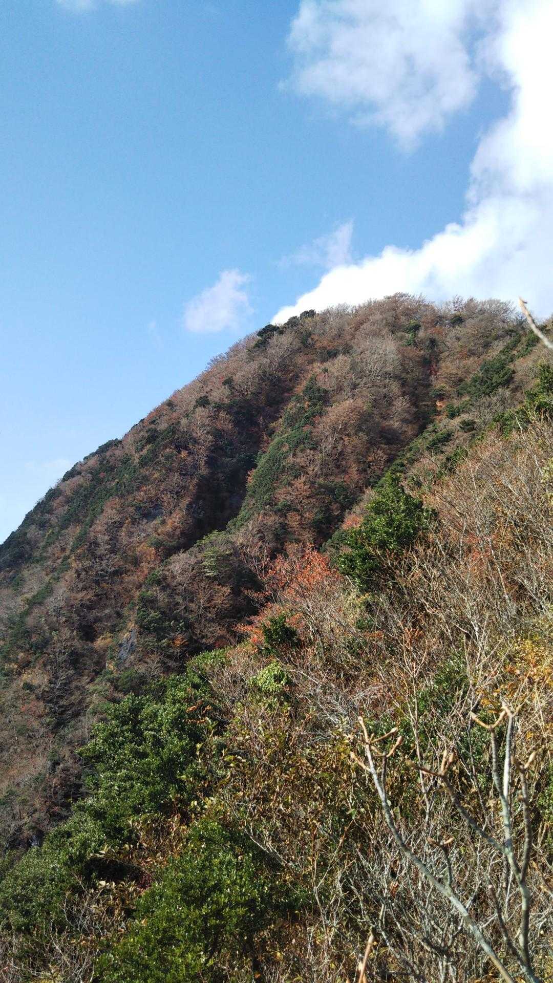 ん～ 😂    紅葉は終わってる。