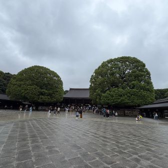 丸いシルエットがとても可愛らしい御神木