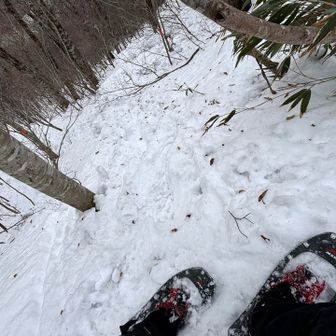 なるほど確かに急です
エッジ切りながら下る