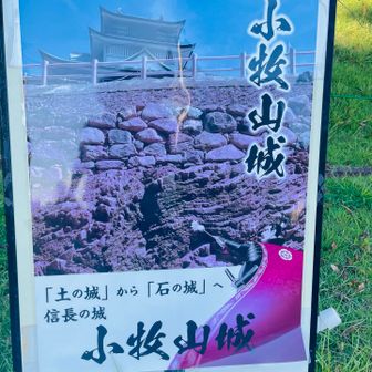 岐阜城もこうなるの？