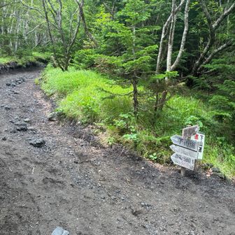 ここから下山するのね