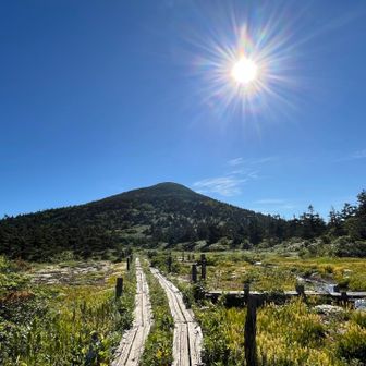 こんな姿を見せられちゃったら行くしかないでしょ🏔️（小岳）