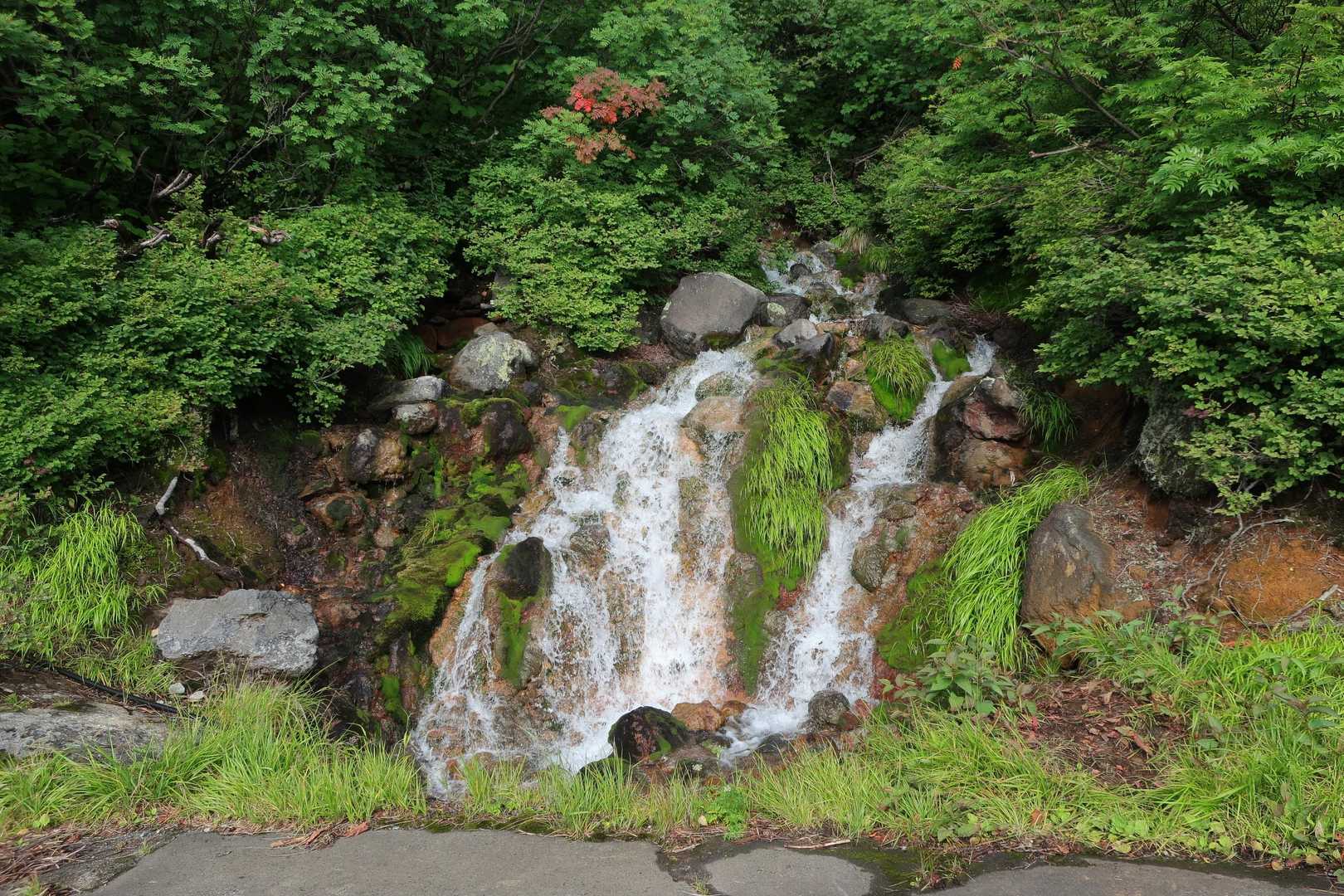 冷泉小屋の近くの小滝。歩きならじっくり観察できます😊この辺り少し硫黄の臭いがします