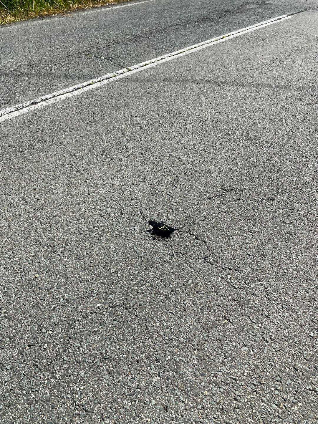 道路の穴から🌱が
こんな人間になりたいなぁ