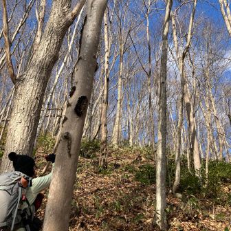 午後から晴れるって、本当だったねーー😊