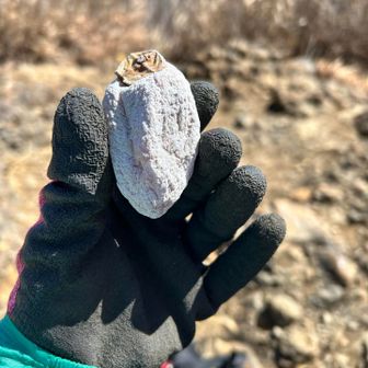 市田柿ありがとうございます♪
めっちゃ美味しい😋
帰宅し冷蔵庫で冷やすと
更に美味しくなりました！！