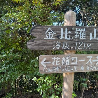 最後のピーク