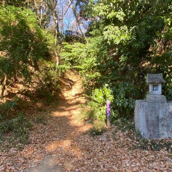 薬王院登山者駐車場の登山口