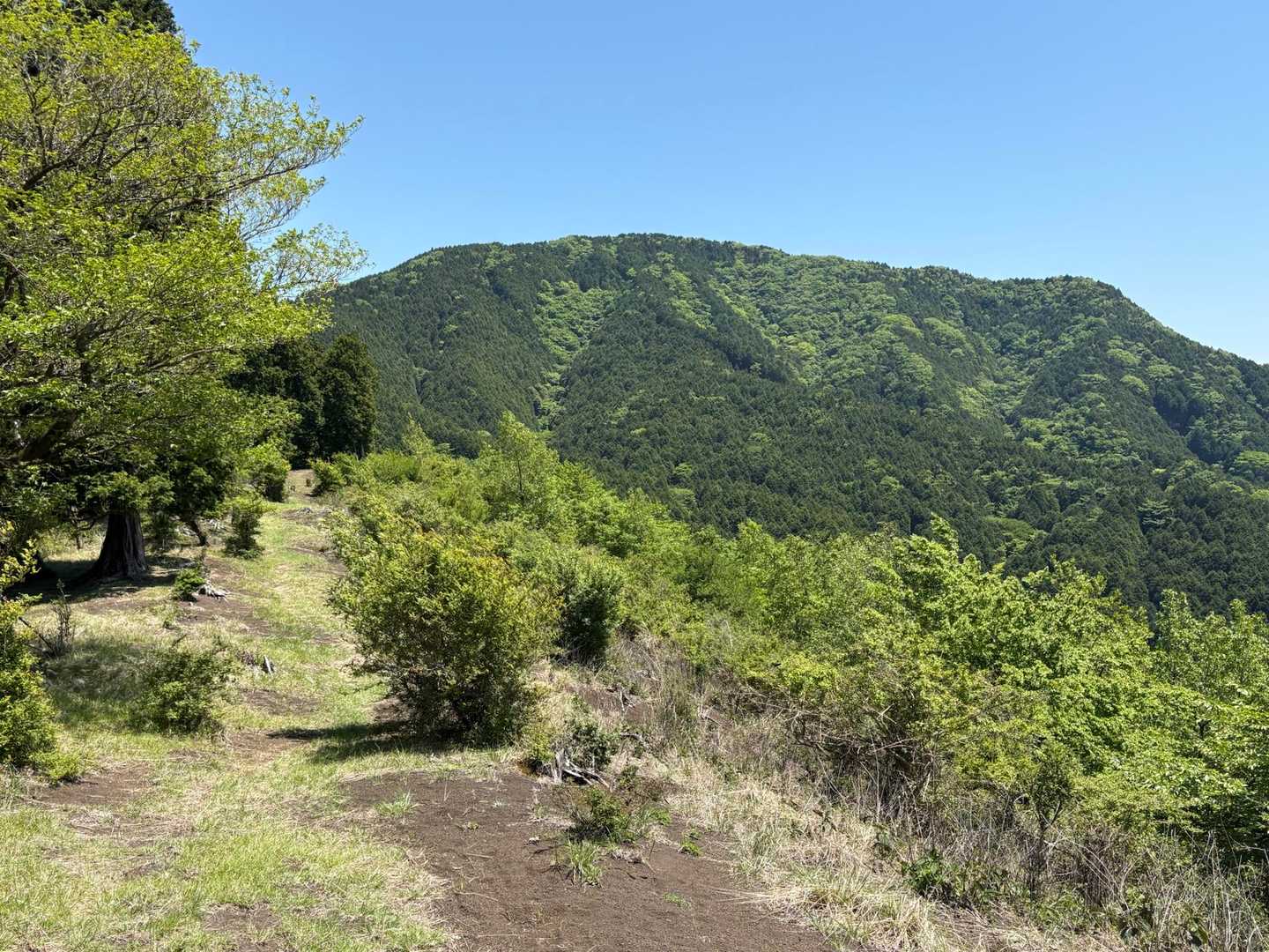不老山へ向かいます