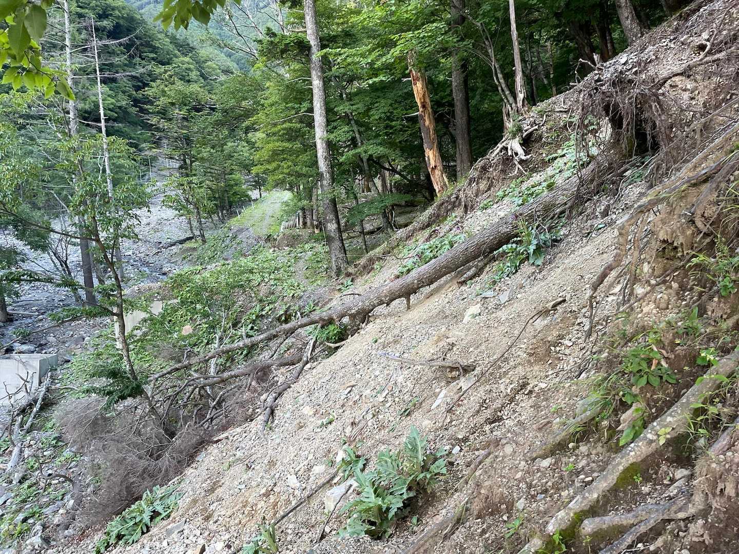 小屋手前はちょっとした崩落地のトラバース。
その後も河原への下降と林道への復帰を繰り返し、
