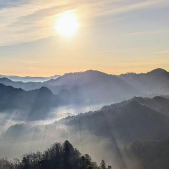 おはようございます〜