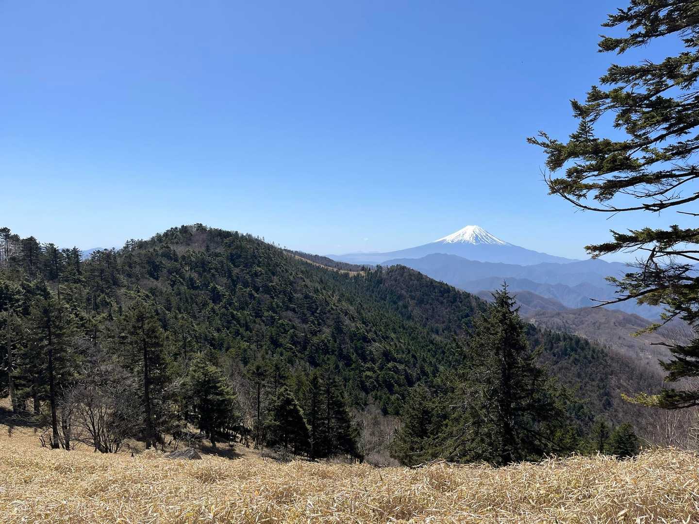 すずらん昆虫館前バス停-牛奥ノ雁ヶ腹摺山-小金沢山 往復コースの写真