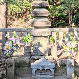 源頼朝公の墓。
鶴岡八幡宮によって管理されており、いつも献花が絶えません。

江戸時代の中頃、島津家によってここに建てられましたが、この石塔は頼朝公が建てた雪の下にある勝長寿院の跡地から移した物だそうです。だからきっと古い物ですね。なお高野山にある墓は北条政子が建てた供養墓です。

４月の鎌倉まつりでは毎年島津家の当主がここに参拝する習わしになっているよ。島津家の祖、島津忠久公は頼朝公の血を引く唯一の子だからね。

頼朝公が生前に肌身はなさず持っていた小さな銀の観音像は、元々この墓の左方にあった持仏堂に祀られていましたが、今は鶴岡八幡宮の宝物殿にて展示されています。

墓の右側には不自然に広いスペースがありますが、そこには昭和ぐらいまでお婆さんが営む茶屋がありました。

頼朝公の墓には参拝者を捕まえて歴史のウンチクを垂れる老人がいましたが、もう最近は見かけなくなりました。観光客の女性から知識のあやふやな点をキツく指摘され、老人がしどろもどろになっているのを見た事があります。
