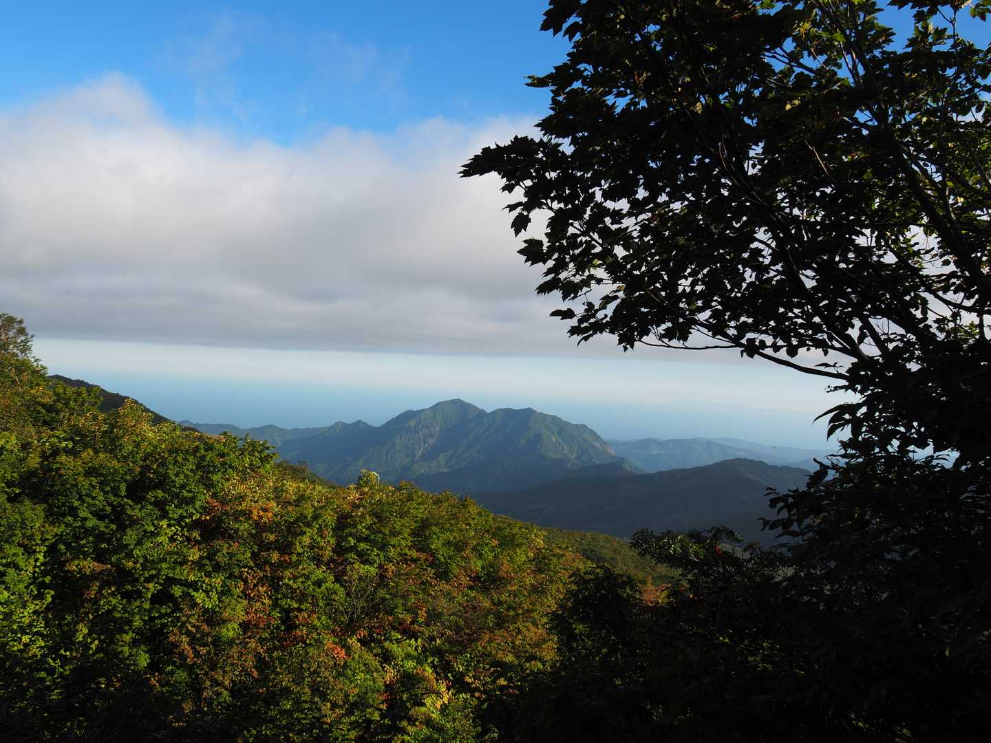 鉾ヶ岳、権現岳