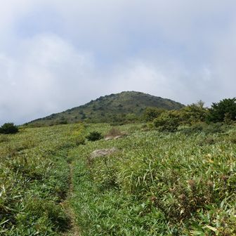見えてきた道後山は
なだらかでおだやか