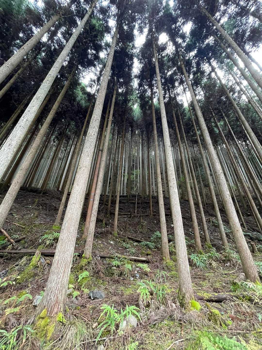 本日のランチが待っている！