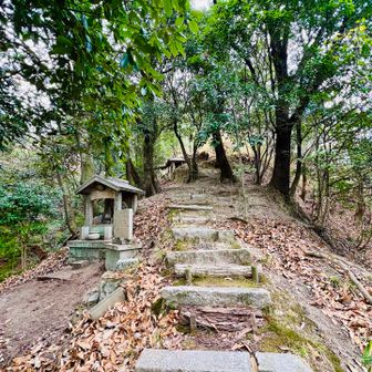 背山に向かいます

この左側にある斜面にも祠が
びっしり並んでいました！