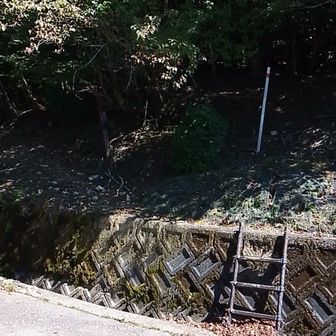 冷水山登山口
ここまでの林道運転
アプローチがキツかった