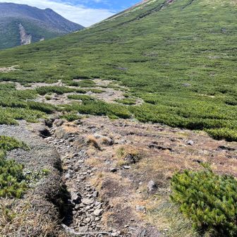 石垣山から降りて